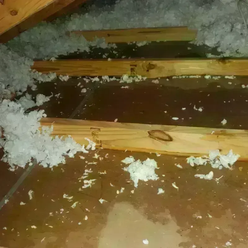 Attic Water Damage in Cody, WY