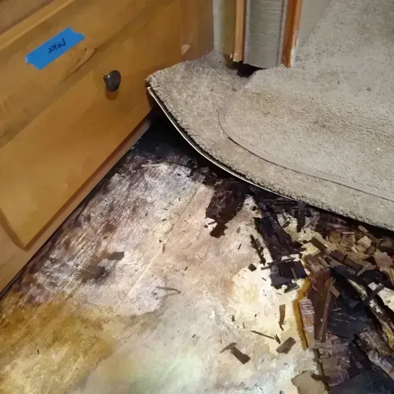 Wood Floor Water Damage in Cody, WY